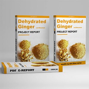 Bleached & Dehydrated Ginger