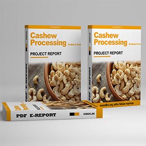 Cashew Processing Grading & Packaging