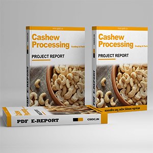 Cashew Processing Grading & Packaging